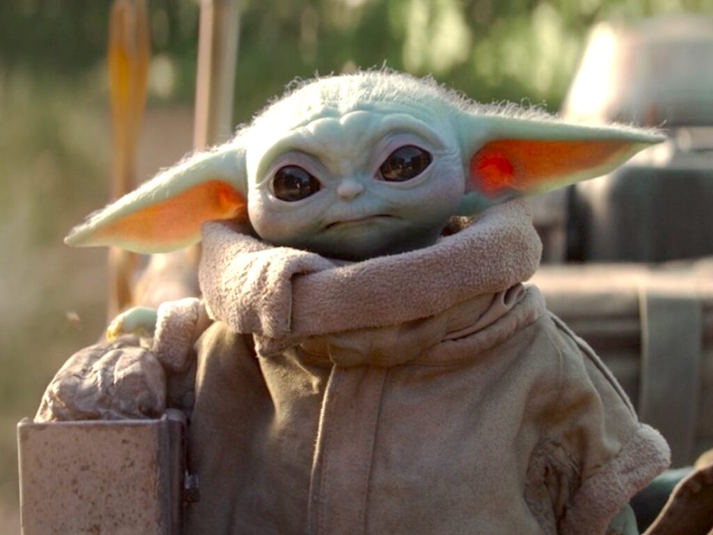 The kid, Baby Yoda